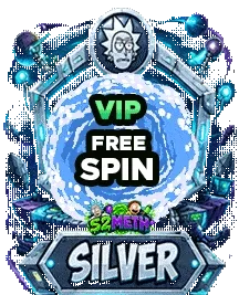 VIP SILVER 2